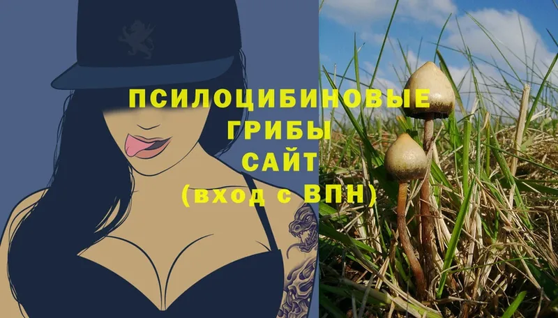 Галлюциногенные грибы MAGIC MUSHROOMS  мега как войти  Кировск 